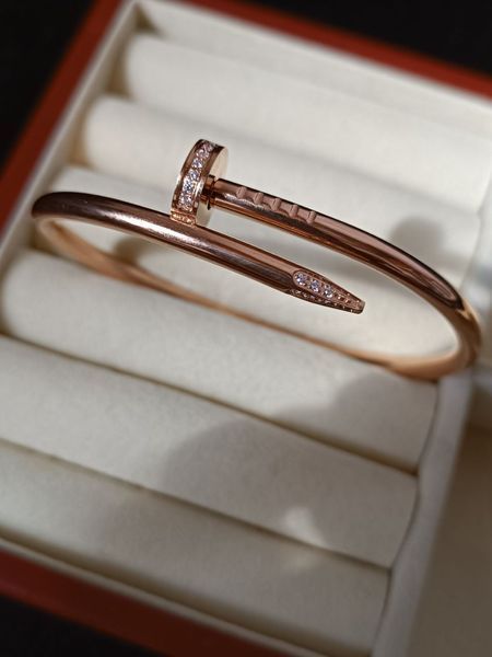 Cartier Браслет-гвоздь женский из медицинской стали с фианитами 7027 фото