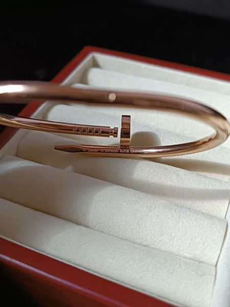 Cartier Браслет-гвоздь женский из медицинской стали с фианитами 7027 фото