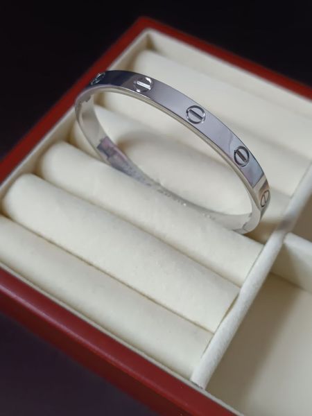 Браслет жіночий із медичної сталі сріблястий з гвинтами Cartier 7005 фото